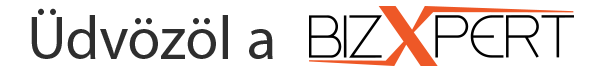 Welcome to BizXpert